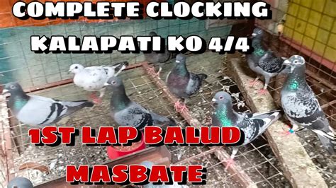 pilipinas kalapati clocking login|KALAPATI (Pigeons) .